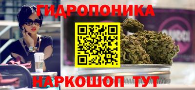 мяу мяу мука Тара