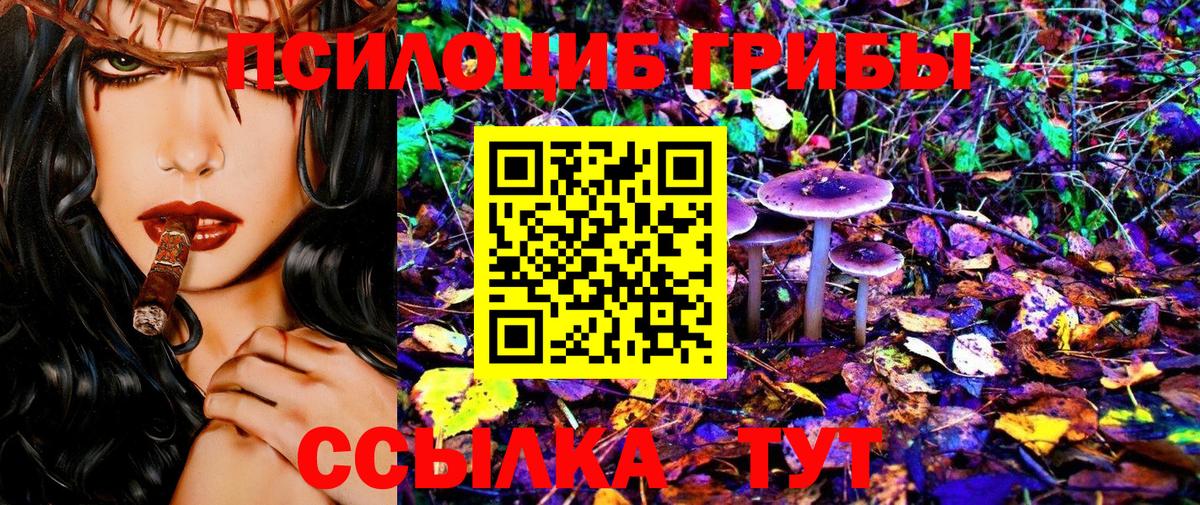 Галлюциногенные грибы мицелий  Галлюциногенные грибы Psilocybine cubensis  Вход с VPN  Вятские Поляны 