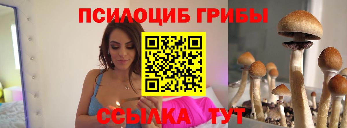 Галлюциногенные грибы MAGIC MUSHROOMS Вятские Поляны